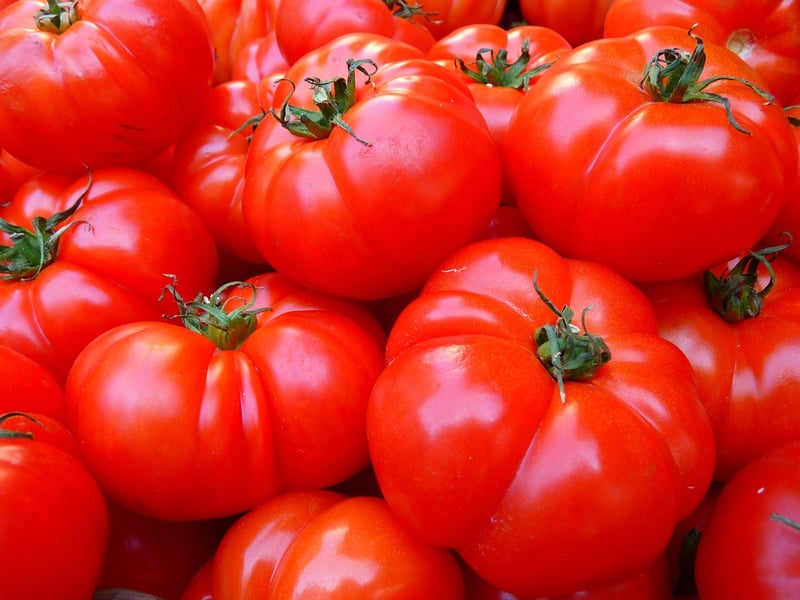 Vegetable Patch